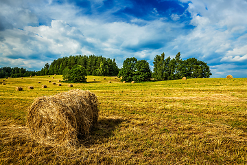 Image showing Hay bales on field