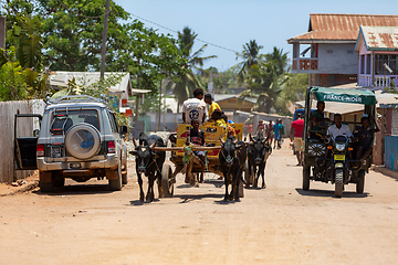 Image showing A zebu cart carries malagasy beer on a dusty road on a hot day. Belo Sur Tsiribihina, Madagascar