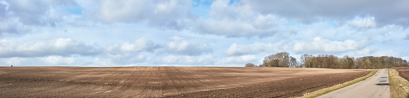 Image showing Early springtime in the countryside - Denmark. A photo of the countryside in early springtime.