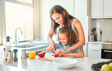 Image showing Loving mother and small daughter chopping vegetables and preparing vegetarian meal in the kitchen at home. Girl bonding with mother while learning to cook