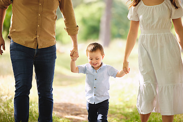 Image showing Two hands to hold for life. a family taking a walk in the park.