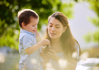 Image showing Do you know what this is. a young mother and son spending time together in nature.