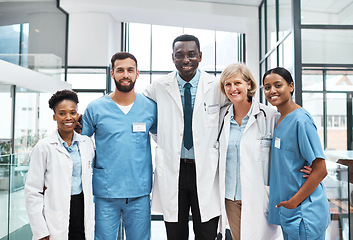 Image showing Coming together as the top in their field. Portrait of a group of medical practitioners standing together in a hospital.