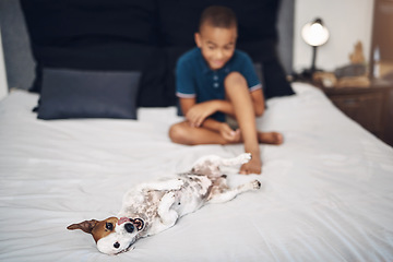 Image showing Nothing ruff about this life. an adorable little boy playing with his pet dog on the bed at home.