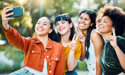 Image showing Each friend represents a world in us. a group of friends taking a selfie in a park.