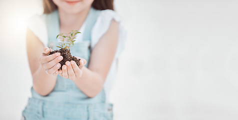 Image showing Growth is a continuous process. an unrecognizable child holding a plant in dirt at the beach.