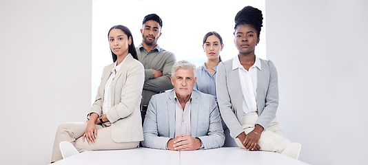 Image showing Were as dynamic as we are dedicated. Portrait of a group of confident businesspeople in an office.