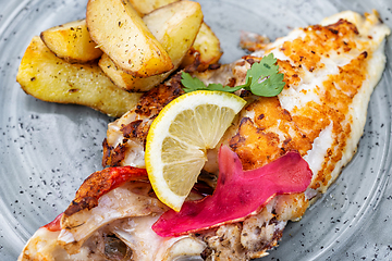 Image showing plate of grilled fish fillet