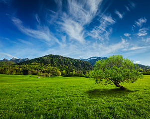 Image showing Alpine meadow in Bavaria, Germany