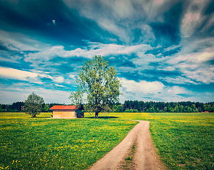 Image showing Summer meadow