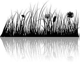 Image showing grass on water