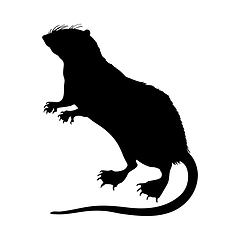 Image showing Water Tenrec Silhouette