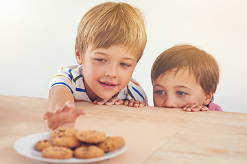 Image showing Lets sneak a cookie before dinner. Two little boys sneakily trying to take a cookie from a plate.