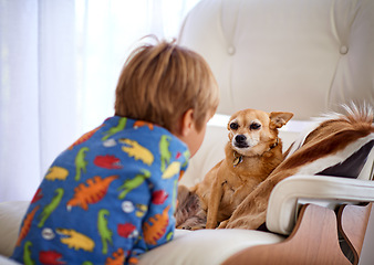 Image showing Staring competition. A little boy looking at his dog on the couch.