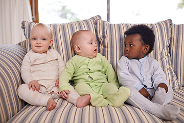 Image showing Friends from an early age. three adorable babies sitting on a couch.