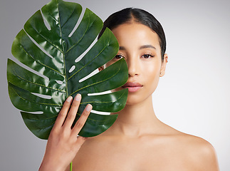 Image showing Studio portrait of a beautiful mixed race woman posing with an exotic leaf. Young hispanic using an organic skincare treatment against a grey copyspace background