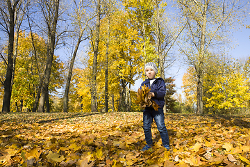 Image showing boy walks in the autumn Park