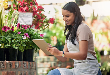 Image showing Sunshines her source. a nursery owner using her digital tablet.