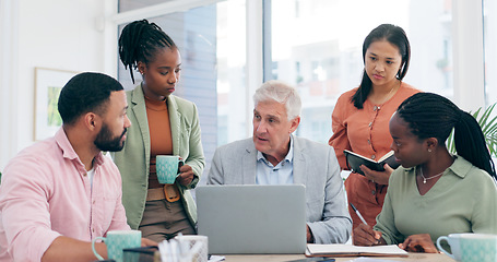 Image showing Laptop, training and business people in office meeting with senior man executive for creative, brainstorming or collaboration. Workshop, coaching and elderly male mentor with team for online proposal