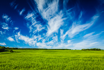 Image showing Spring summer green field scenery lanscape