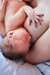 Image showing Making sure my little human stays healthy and strong. unrecognizable woman breastfeeding her newborn daughter in hospital.