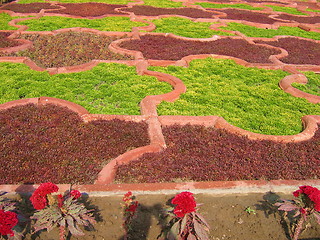 Image showing Garden Geography. Agra. India