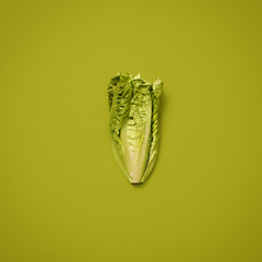 Image showing Keep yourself healthy and well fed. a head of lettuce against a studio background.