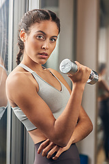 Image showing Getting toned. Cropped portrait of an attractive young female athlete working out with a dumbbell in the gym.