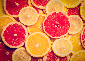 Image showing Colorful citrus fruit slices