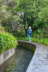 Image showing beautiful Madeira landscape