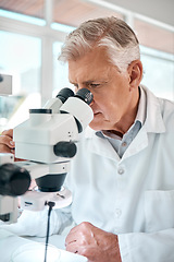 Image showing The truth lies under the lens. a senior scientist using a microscope in a lab.