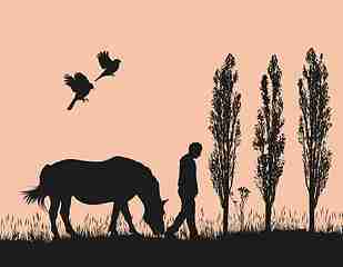 Image showing A walk in nature with a horse