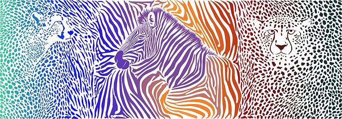 Image showing Animals color background - pattern with zebra and cheetahs motif