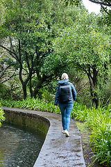 Image showing beautiful Madeira landscape