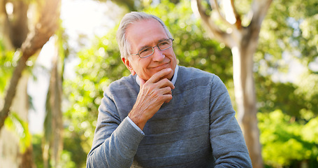 Image showing Everything begins to make sense after all. a senior man looking thoughtful at the park.