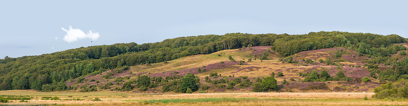 Image showing Beauty of nature. The beauty of nature - Rebild National Park, Jutland, Denmark,.