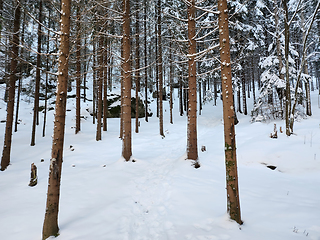 Image showing I Skogen