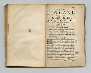 Image showing Weathered old Latin pages. An old medical book with its pages on display.