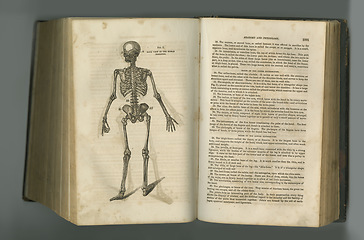 Image showing Rustic medical journal. An aged anatomy book with its pages on display.