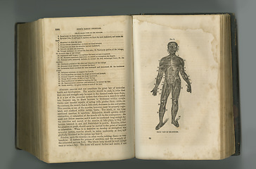Image showing Medical journal. An aged anatomy book with its pages on display.