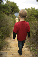 Image showing Bushwalking