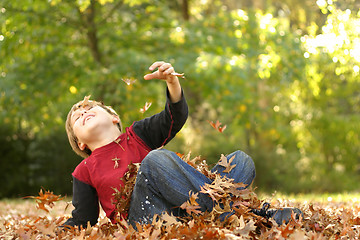 Image showing Falling over in the Fall