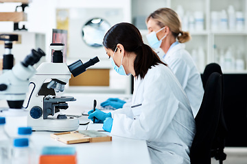 Image showing Authenticating clinical case reports. a young scientist working in a lab with her colleague in the background.