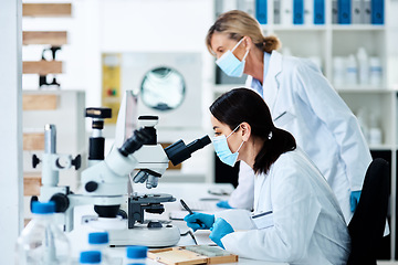 Image showing Clinical researchers serve as key players in medical studies. a young scientist working in a lab with her colleague in the background.