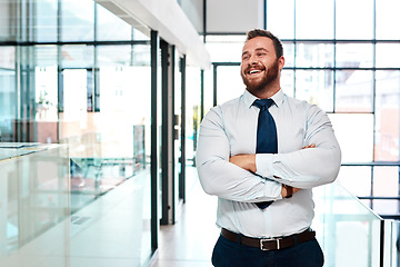 Image showing Its amazing how much Ive already achieved in my career. a young businessman standing with his arms crossed in an office.