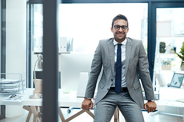 Image showing Its hard work but the reward is bountiful. Portrait of a well-dressed businessman standing in his office.