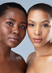 Image showing We could have been twins in another life. Portrait of two beautiful young women standing close to each other against a grey background.