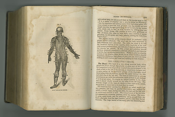 Image showing Medical journal. An aged anatomy book with its pages on display.