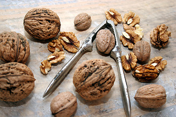 Image showing walnuts and nutcracker