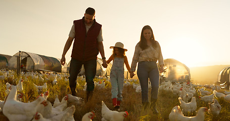 Image showing Agriculture, holding hands and chicken with family on farm for sustainability, environment and livestock industry. Sunset, nature and love with parents and child in countryside field for animals